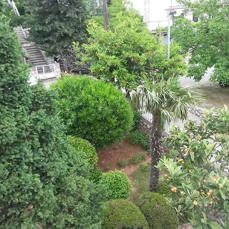 Apartment Sea View Nona *